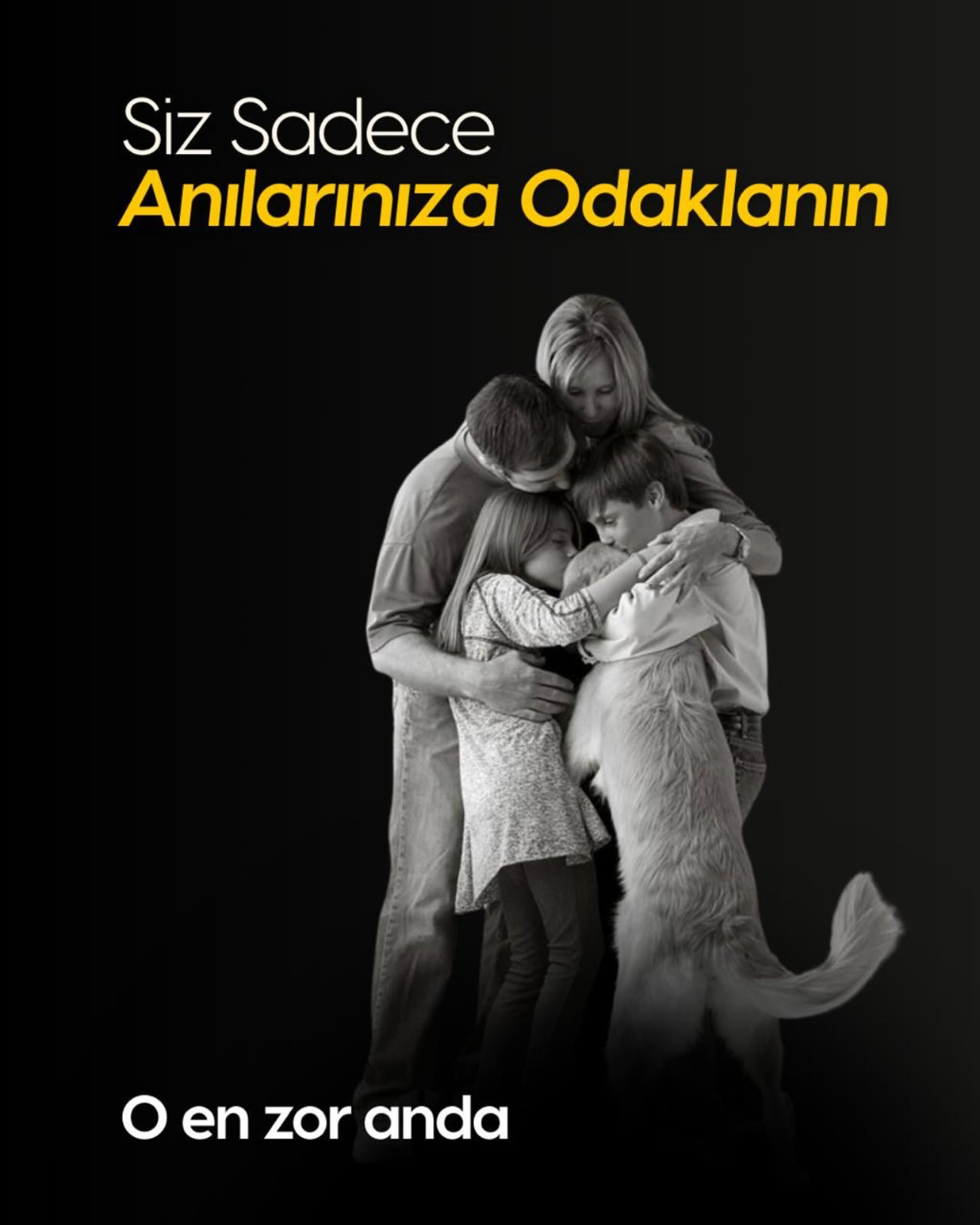 Kalbinizdeki o derin boşluğu ve paylaştığınız o eşsiz bağı derinden hissediyoruz. Biz burada sadece bir hizmet sunmuyor, o en hüzünlü anınızda size güvenilir bir liman oluyoruz. Dostunuzun anılarını, hak ettiği o sonsuz huzura emanet ederken; acınızı paylaşıyor, sevginize ortak oluyoruz. 🙏

#bursapetmezarlığı #petmezarlığı #bursaveterinerkliniği