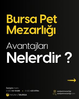 Bursa Pet Mezarlığı Avantajları Nelerdir? 🐾Sevgili dostunuzu kaybetmenin acısını yaşarken, ona layık son bir yuva sunmak istersiniz. Bursa Pet Mezarlığı olarak, bu zor zamanınızda yanınızdayız ve dostlarınızın huzur içinde dinlenmesi için size özel avantajlar sunuyoruz:📍 Kolay Ulaşım: İster özel aracınızla ister toplu taşımayla, dostunuza istediğiniz zaman kolayca ulaşabilirsiniz.🔐 Güvenli Ziyaret: Şifreli geçiş sistemimiz sayesinde dilediğiniz an güvenle ve huzurla ziyaret gerçekleştirebilirsiniz.🚨 7/24 Güvenlik & Düzenli Bakım: Dostlarınızın sonsuz uykusunda rahat etmesi için alanımız 7/24 koruma altında ve düzenli olarak bakımı yapılıyor.🚗 Ücretsiz Nakil: Evinizden veya veteriner kliniğinden teslim aldığımız dostumuza defin alanına kadar ücretsiz nakil hizmeti sağlıyoruz.Dostlarınızın anısını sonsuza dek yaşatmak için yanınızdayız.#BursaPetMezarlığı #PetMezarlığı #EvcilHayvanMezarlığı #Bursa #Dostumİçin #SonsuzAşk #HayvanSevgisi #Huzur #petmezarlığı #bursa #EvcilDostlar #PetVeda #bursahayvanseverler