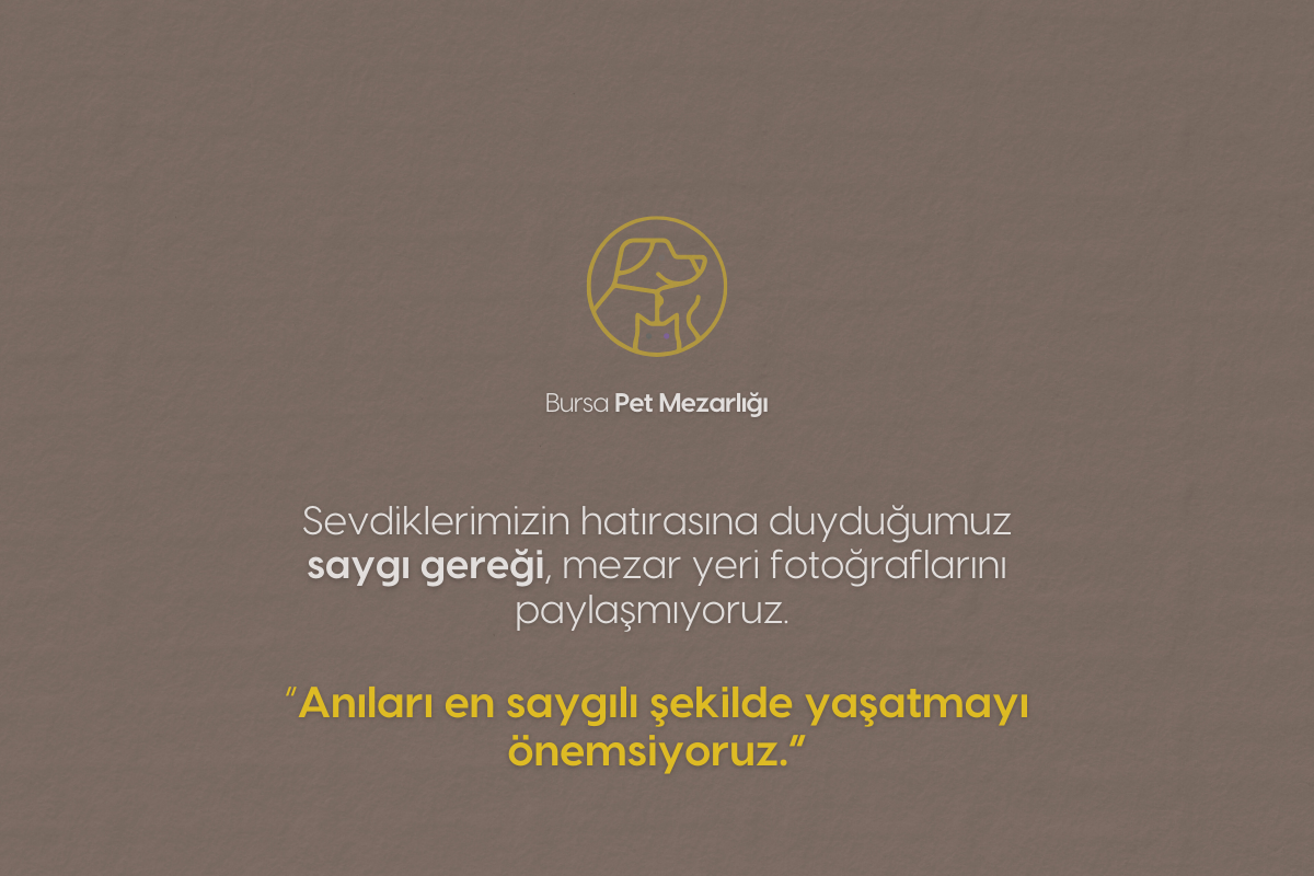 Nilüfer Pet Mezarlığı