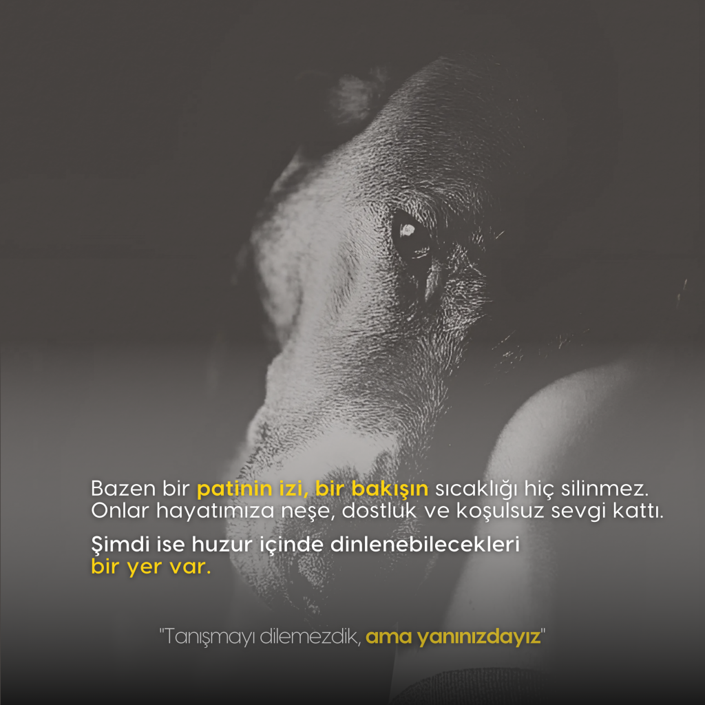Bursa Pet Mezarlığı